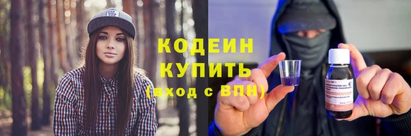 мдпв Богородск
