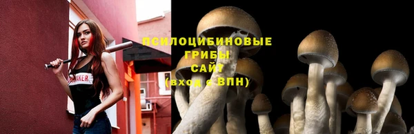 твердый Богородицк