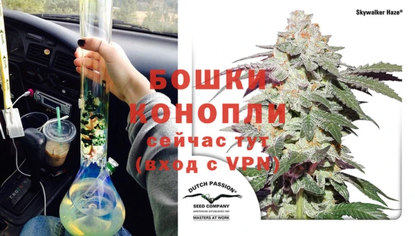 трава Богданович