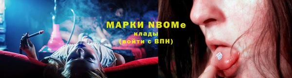мдпв Богородск