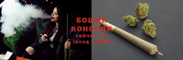 трава Богданович