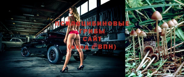мдпв Богородск