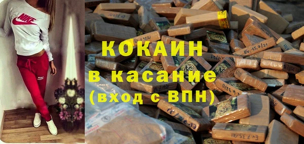 мдпв Богородск