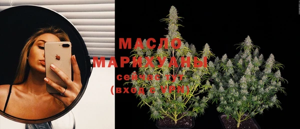 мдпв Богородск