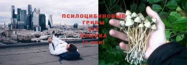 мдпв Богородск