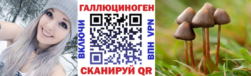 Псилоцибиновые грибы MAGIC MUSHROOMS  купить наркоту  OMG как войти  Дятьково 